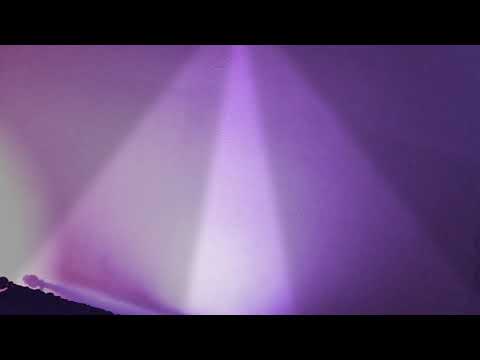 Cat noises with Joslin and Chloe