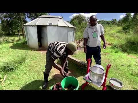 在肯亞，電動圍欄保護森林免受人類破壞 (In Kenya, electric fences protect forests from human destruction)