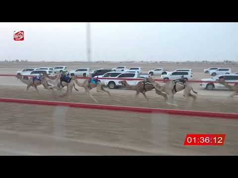  ش 4 (رعد) لـ غالب علي بن حمد الحافري 3:02:33 ، شارة الصندوق 2026/08/10 فطامين الوثبة