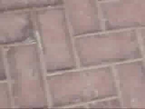 SZTeaM - Insane Day!!!!