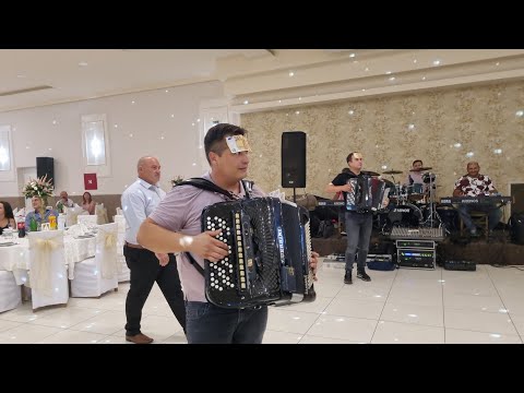 Orkestar Darka Antica LAVOVI - G.Mutnica