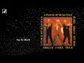 Say So Much by A Flock Of Seagulls