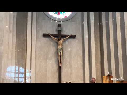 19th Friday In Ordinary Time