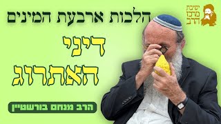 הרב מנחם בורשטיין | סוכות | דיני האתרוג | ו' תשרי תשפ"ו | ישיבת מרכז הרב (ישיבת מרכז הרב) - התמונה מוצגת ישירות מתוך אתר האינטרנט יוטיוב. זכויות היוצרים בתמונה שייכות ליוצרה. קישור קרדיט למקור התוכן נמצא בתוך דף הסרטון הרב מנחם בורשטיין | סוכות | דיני האתרוג | ו' תשרי תשפ"ו | ישיבת מרכז הרב (ישיבת מרכז הרב) - התמונה מוצגת ישירות מתוך אתר האינטרנט יוטיוב. זכויות היוצרים בתמונה שייכות ליוצרה. קישור קרדיט למקור התוכן נמצא בתוך דף הסרטון