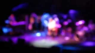 Steve Winwood - Medicated Goo - Tampa 2014