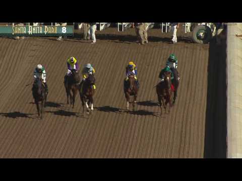Tokyo City Cup (Gr. III) - April 2, 2017