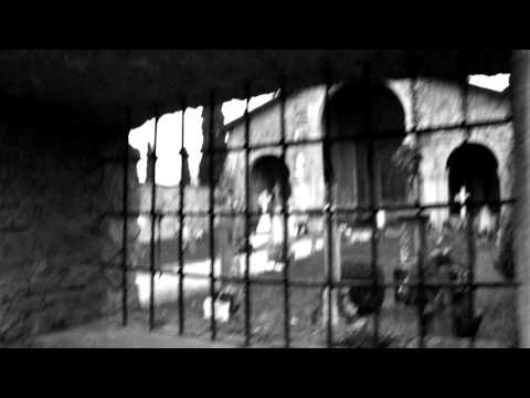 IMAGO MORTIS - New Album "Carnicon" (Video Teaser)