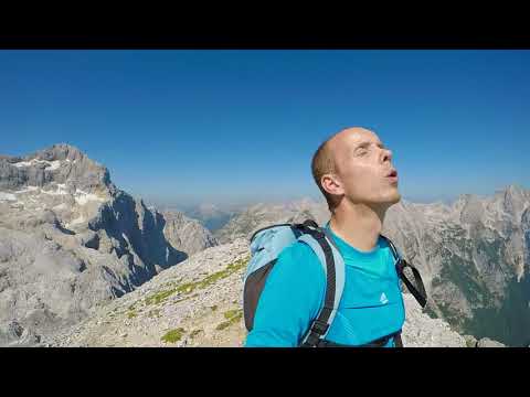 Rjavina trailer kratki