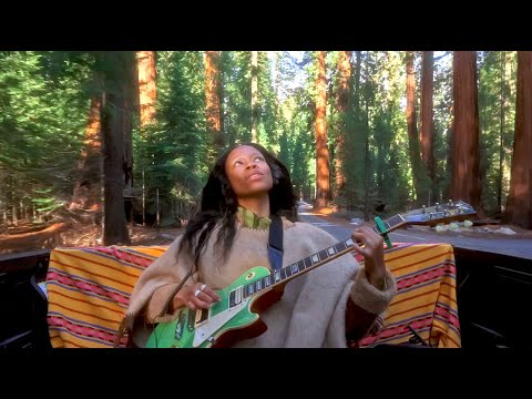Redwood Resonance ᨒ (1hr) - Healing Guitar Frequencies - Heart Opening and Connecting to the Trees