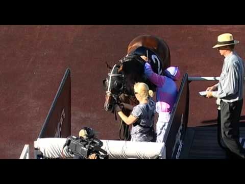 Ascot, 09/03/2016 - Race 6 - PADDY - Raquel Mills & Peter Knuckey