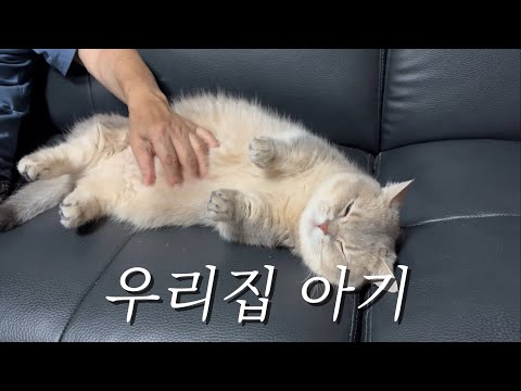 우리집 아기 (할부지 할머니 출연분 많음)