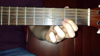 Caballo de Patas Blancas | Requinto | Miguel y Miguel