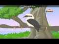 Kookaburra with Lyrics - Nursery Rhyme
