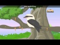 Kookaburra with Lyrics - Nursery Rhyme 