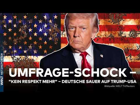 WELT Netzreporter and WELT