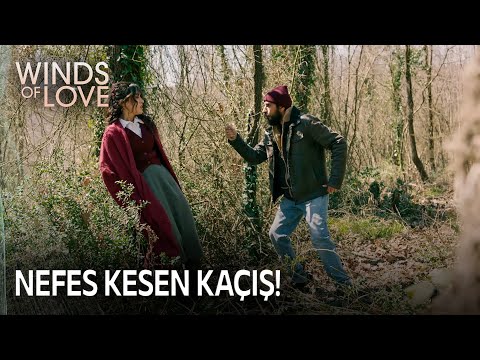 Zeynep's narrow escape! | Winds of Love Episode 74 (MULTI SUB)