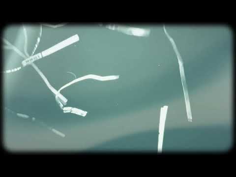 Deathpact - WHAT I WANT (Official Audio)