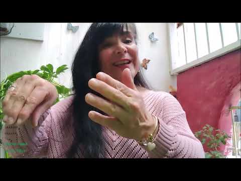 Entre Tomé y Los Vilos N°68