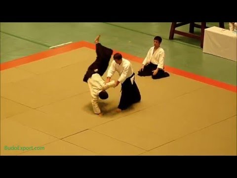 Horii Etsuji Shihan - 49th All Japan Aikido (2011)