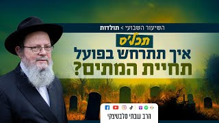 פרשת תולדות • סוד תחיית המתים ומשמעותה בחיינו כיום