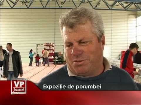 Expozitie de porumbei