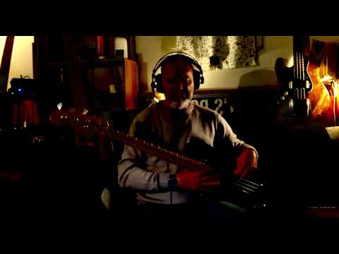 Ho perso le parole -Ligabue- bass cover