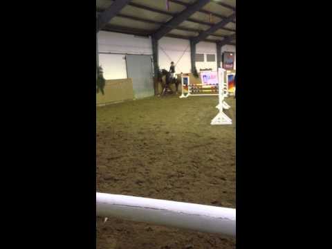 Las Vegas (6j. Holsteiner) Springpferde A