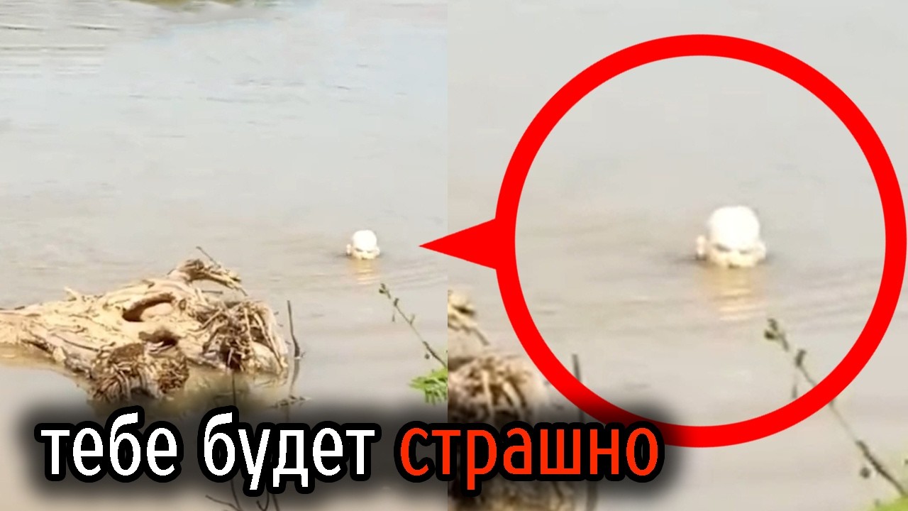 Самые Ужасные Видео со Всего Мира #67