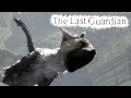 The Last Guardian 6 Por Um Triz ps4 Pro Gameplay Portug