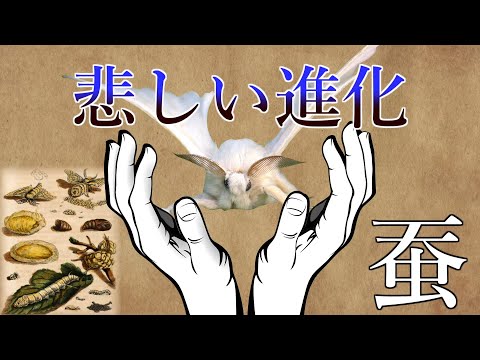 フランスの動物相 - 定義
