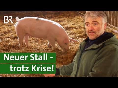, title : 'Neue Perspektive für Schweinehalter - dank Strohschweinen | Neuer Stall &Wirtshaus | Unser Land | BR'