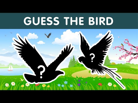 Guess the Bird Quiz | 12 Birds Names and Sounds
