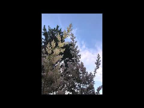 zemaru - NADAMUDOU ♥ (Prod.dannyebtracks)