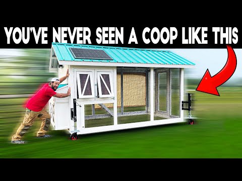 Omaha Chicken Coop Hacks and Final Review