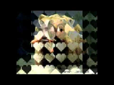 L'orso abbracciatutti Candeloro United Team Cosenza