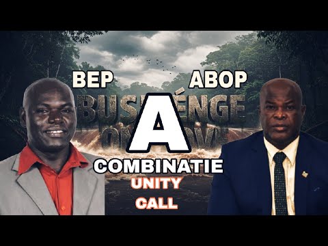 STEFA PRODUCTION _ A Combinatie (Unity call)