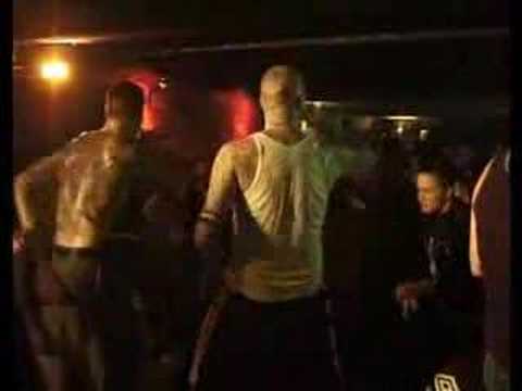 Spider Crew - Punks & Skins united