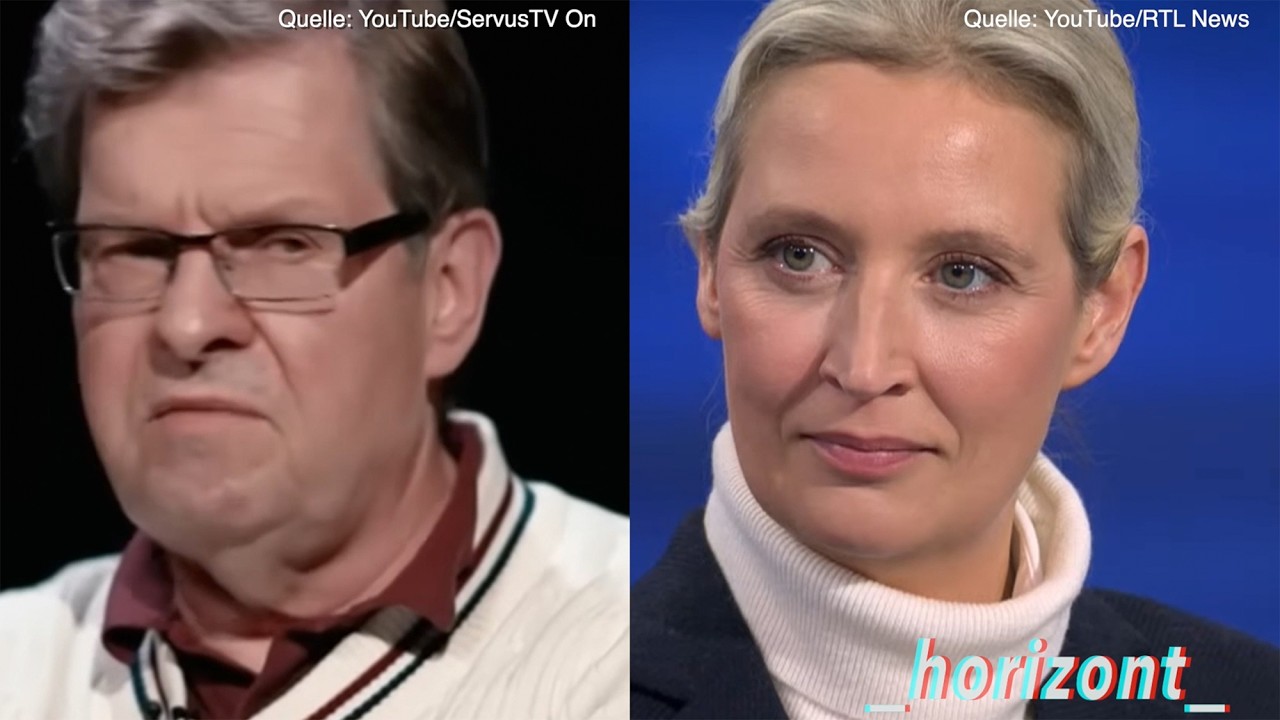 Die absolute Projektion – Stegner beleidigt Weidel