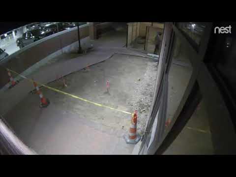 Sentinel security cameras capture person of interest