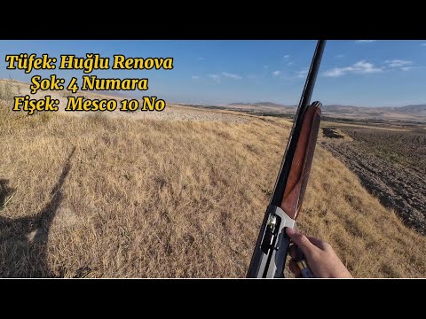 BILDIRCIN AVI ( 2025_2026 sezonu) #bıldırcın #hunting #renova 