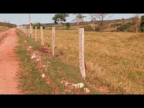 A pecuária em Reserva do Cabaçal-MT