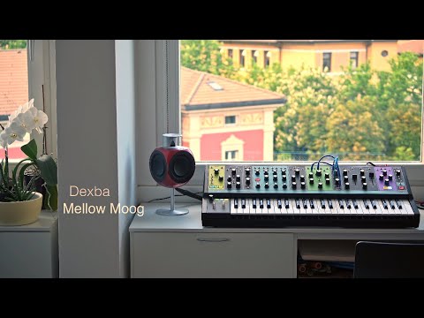 Moog Matriarch // Some Mellow Sounds of Raw Moog Beauty