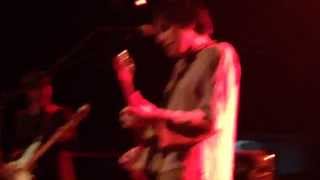 Peter Perrett (Only Ones) - The Beast