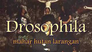 Download lagu full album drosophila - mahar hutan larangan mp3