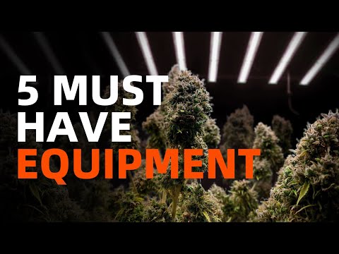 A Beginner's Guide: 5 Must-Have Equipment for Growing | Spider Farmer