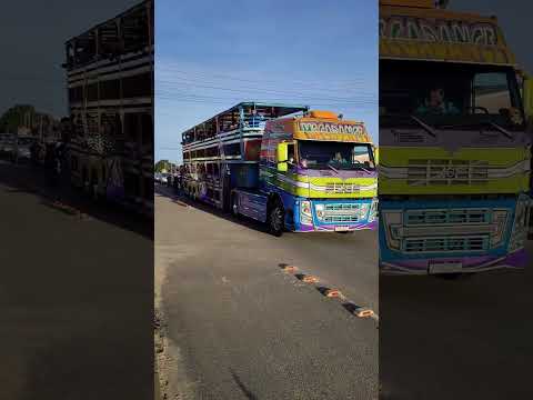 #meme #arroiogrande #riograndedosul #fofão #carretadaalegria