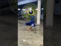 Chakkar FRI 96croori Trending Budhadal Newvideo Sikh Khalsa Gatka Akhada Kirpan Reels Ustad Loves