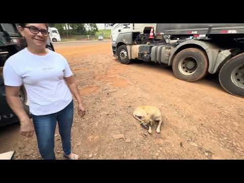 Vamos carregar em Eneas Marques pr