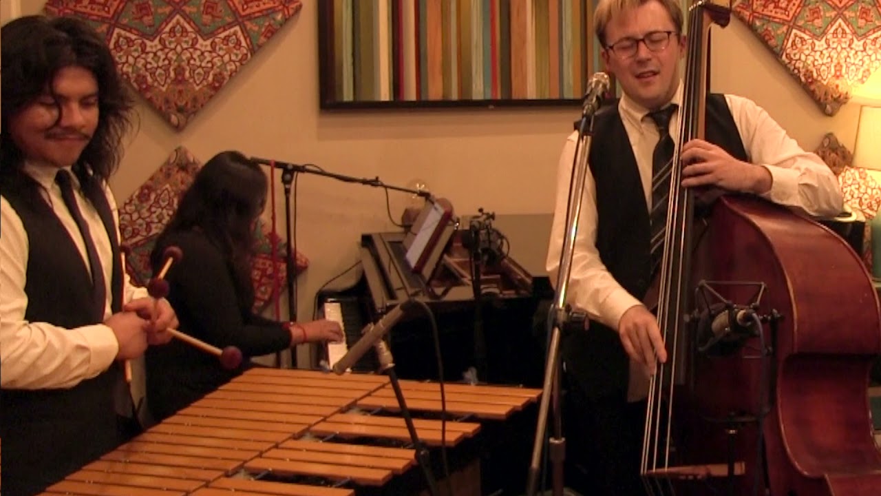 Promotional video thumbnail 5 for Matthew J. Evans & The Contrafacts
