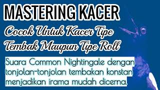 Download lagu MASTERAN KACER 007 Suara Tonjolan Tajam Dan Konstan Cocok Untuk Kacer Tipe Nembak Maupun Tipe Ngerol mp3